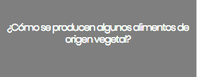¿Cómo se producen algunos alimentos de origen vegetal?